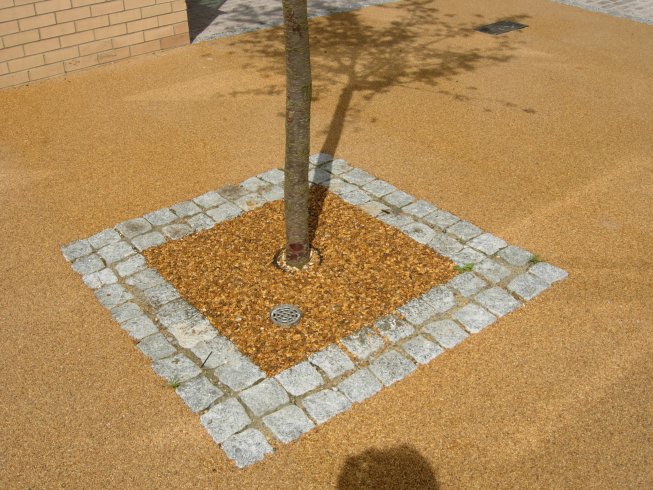tree pit on a walkway
