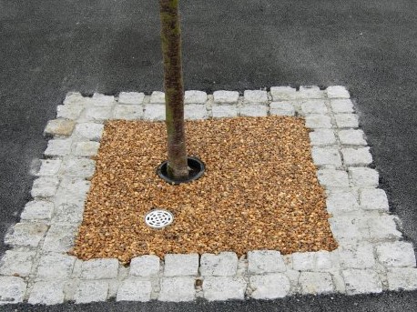 medium distance view of a tree pit