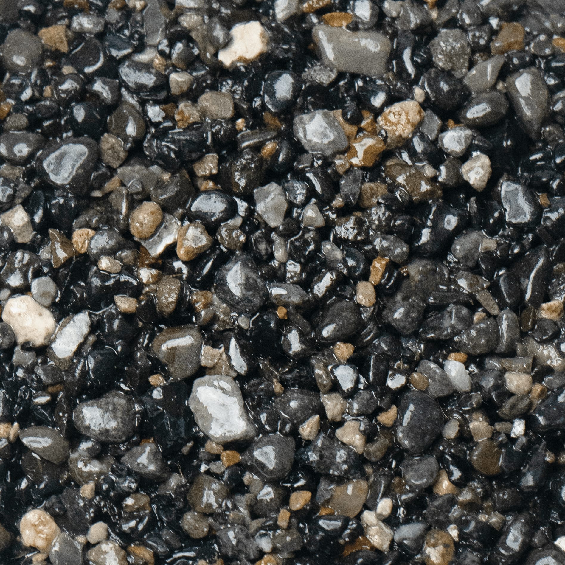 Ocean Gray 1. A close-up view of wet, black and brown gravel. The individual stones are small and smooth, with a glossy, reflective surface, as if they are sealed. The colors are a mix of dark charcoal grey, deep black, and various shades of brown and tan, creating a speckled texture.
