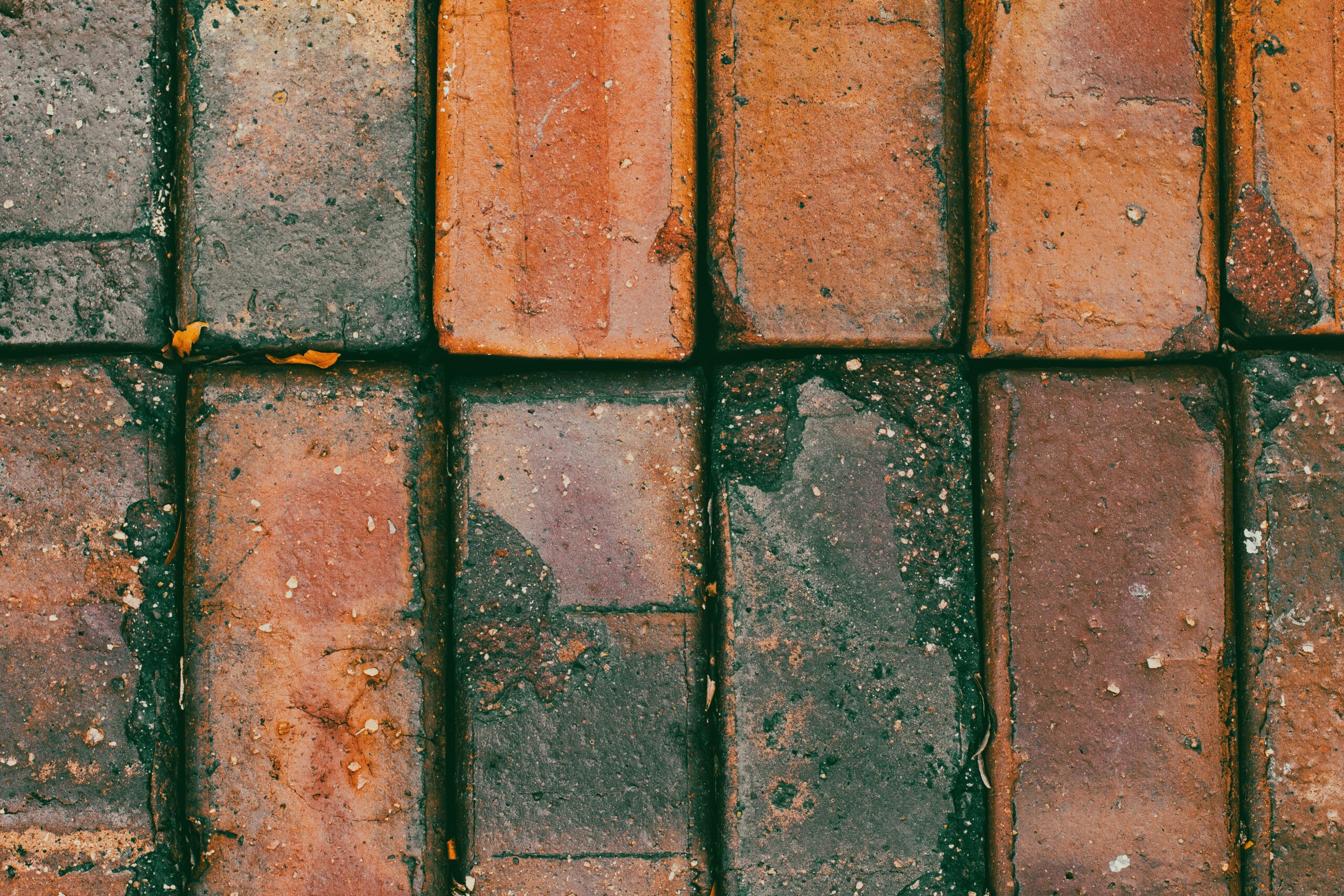 Featured image for “What is the Difference Between a Waterproofer and a Sealer?”